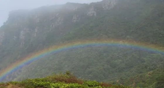 Ist ein Regenbogen nur ein physikalisches Phänomen oder auch ein Symbol für den Bund Gottes mit den Menschen? - 